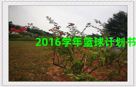 2016学年篮球计划书