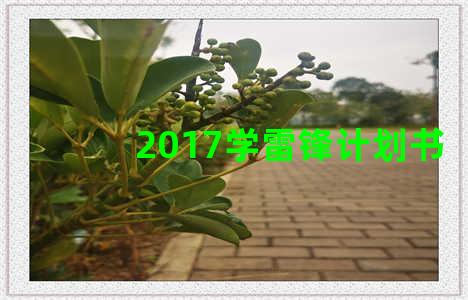 2017学雷锋计划书