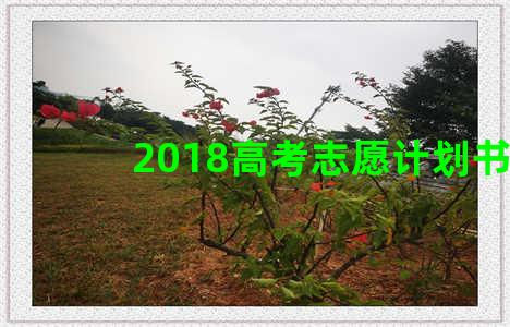 2018高考志愿计划书