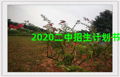 2020二中招生计划书