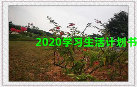 2020学习生活计划书