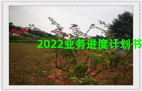 2022业务进度计划书