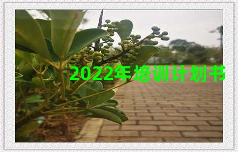 2022年培训计划书