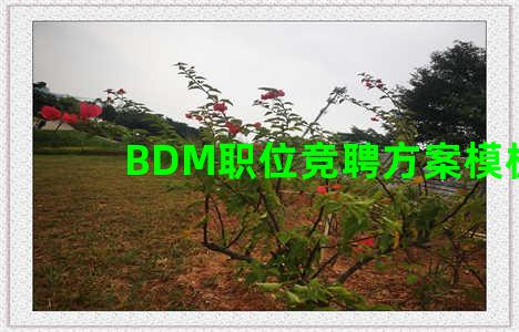 BDM职位竞聘方案模板