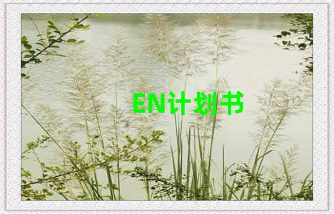 EN计划书