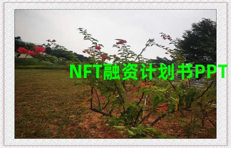 NFT融资计划书PPT