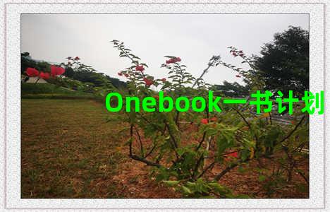 Onebook一书计划