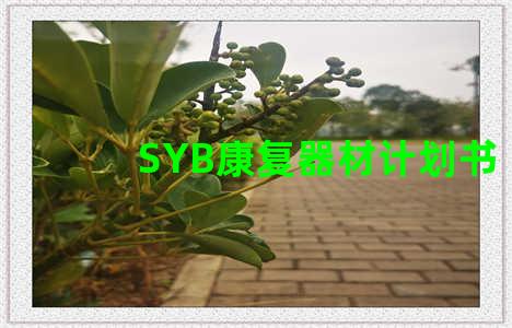 SYB康复器材计划书