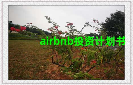 airbnb投资计划书