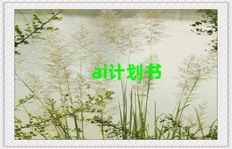 ai计划书