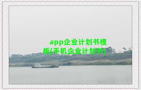 app企业计划书模板(手机企业计划书)