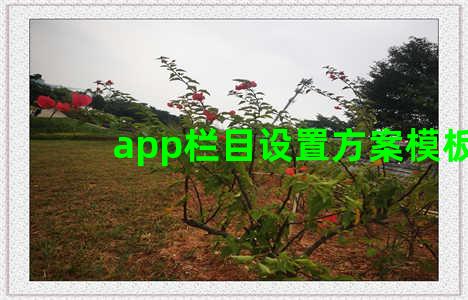 app栏目设置方案模板