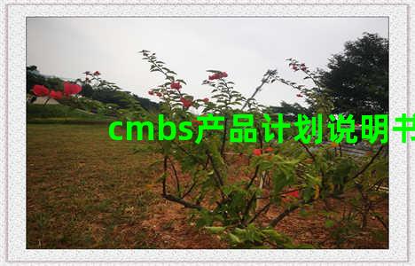 cmbs产品计划说明书