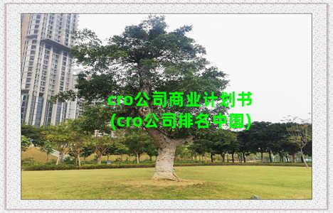 cro公司商业计划书(cro公司排名中国)