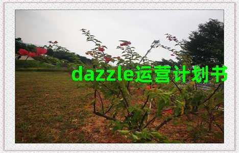 dazzle运营计划书