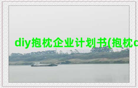 diy抱枕企业计划书(抱枕diy图片)