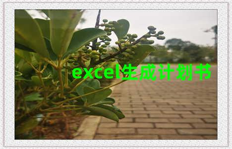 excel生成计划书