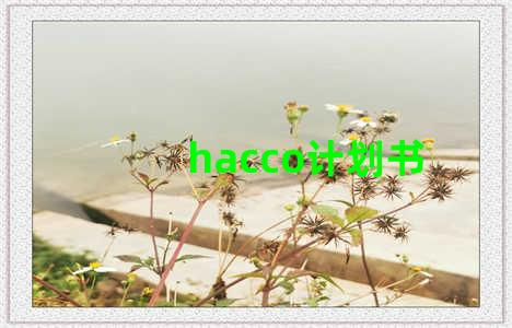 hacco计划书