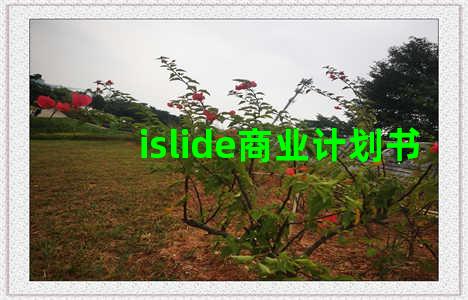 islide商业计划书