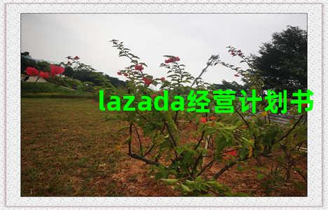 lazada经营计划书