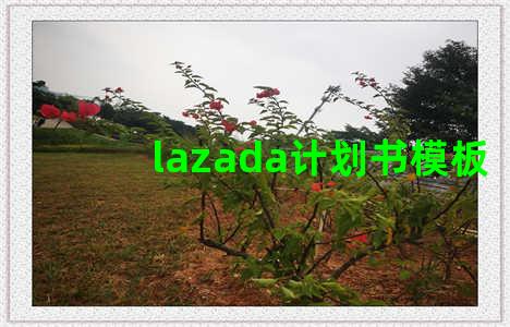 lazada计划书模板