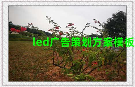 led广告策划方案模板