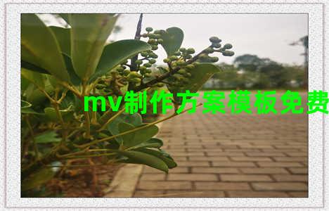 mv制作方案模板免费