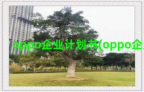 oppo企业计划书(oppo企业发展战略)