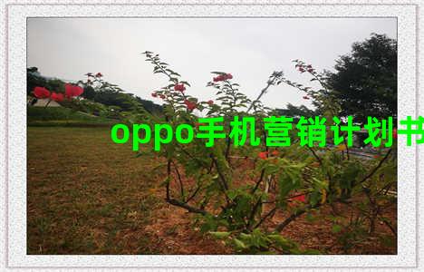 oppo手机营销计划书