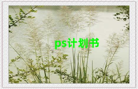 ps计划书