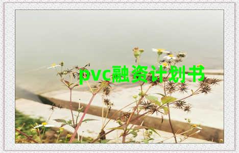 pvc融资计划书