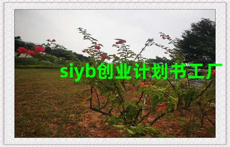 siyb创业计划书工厂