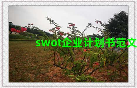 swot企业计划书范文