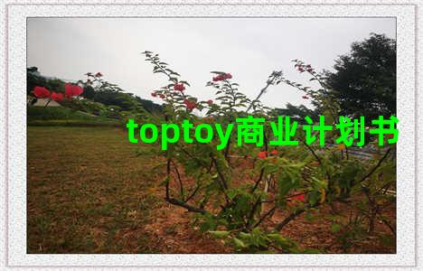 toptoy商业计划书