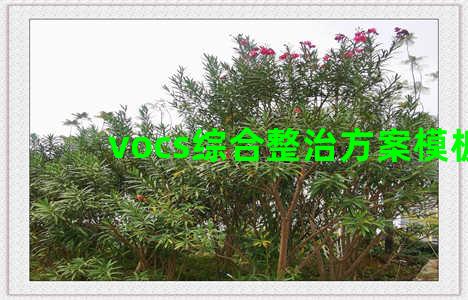 vocs综合整治方案模板