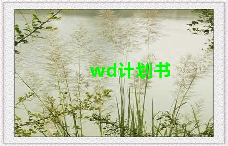 wd计划书