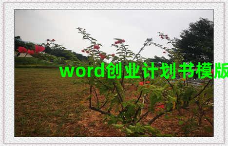 word创业计划书模版