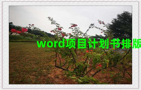 word项目计划书排版