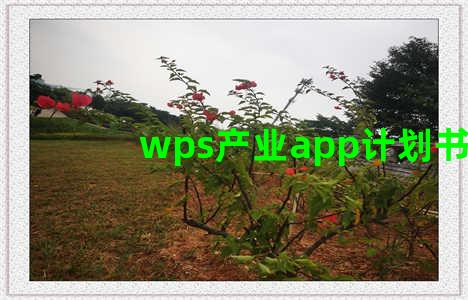 wps产业app计划书