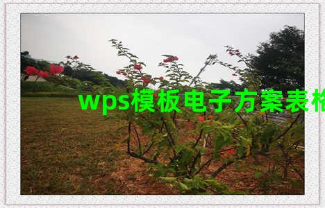 wps模板电子方案表格