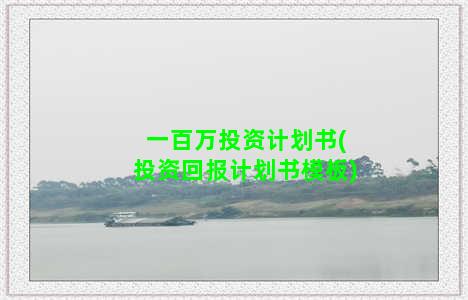 一百万投资计划书(投资回报计划书模板)