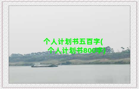 个人计划书五百字(个人计划书800字)