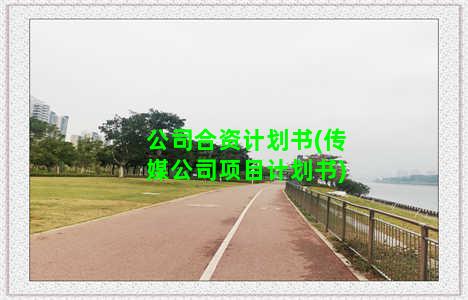 公司合资计划书(传媒公司项目计划书)