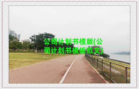 公司计划书模版(公司计划书模板范文)