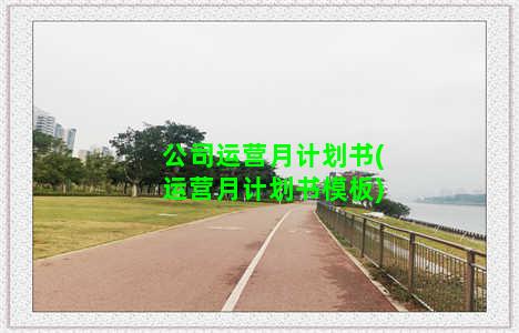 公司运营月计划书(运营月计划书模板)