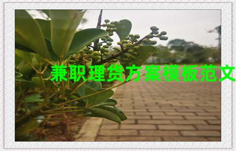 兼职理货方案模板范文