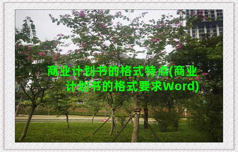 商业计划书的格式特点(商业计划书的格式要求Word)