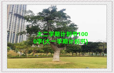 大二学期计划书1000字(大一学期计划书)