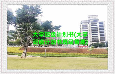 大学班级计划书(大学班级计划书班级管理)