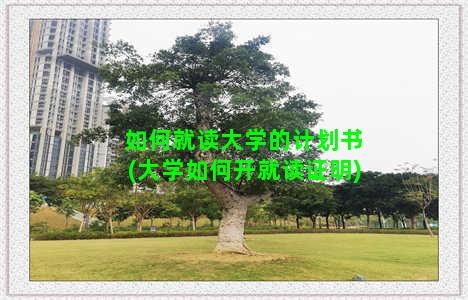 如何就读大学的计划书(大学如何开就读证明)